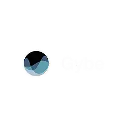 Gybe logo