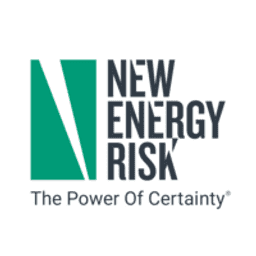 New Energy Risk logo