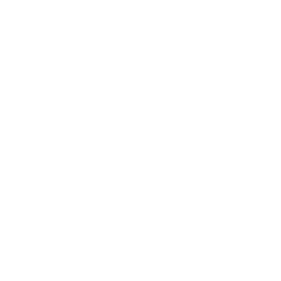 Iron Matrix logo