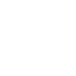 SwitchDin logo